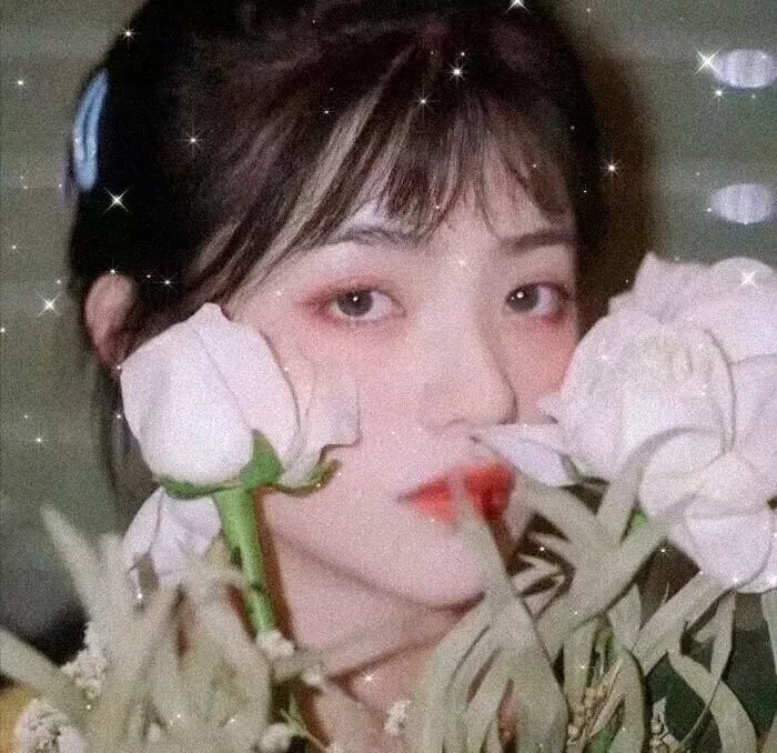 荡女寻春