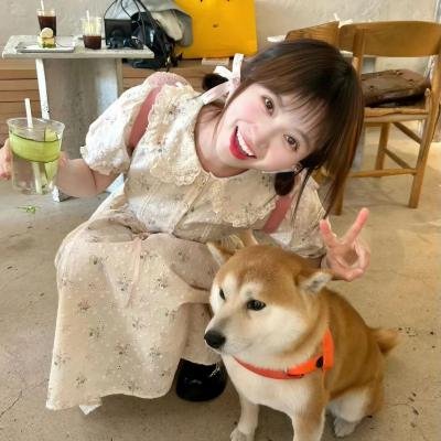 芦苇之歌